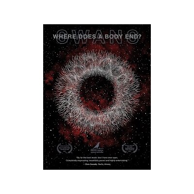 SWANS - WHERE DOES A BODY END? - BRM