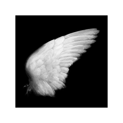 EMMALINE TWIST - DISSIMULATION - LP