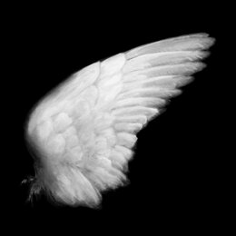 EMMALINE TWIST - DISSIMULATION - LP