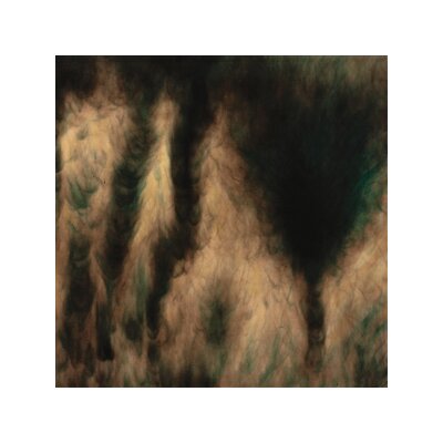 BASINSKI, WILLIAM - LAMENTATIONS - CD