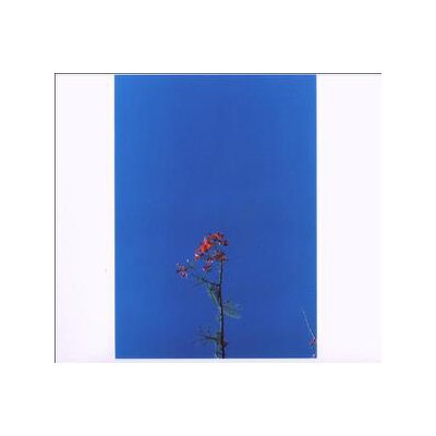 NEWSOM, JOANNA - JOANNA NEWSOM & THE YS STREET BAND E.P. - CD3