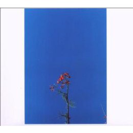 NEWSOM, JOANNA - JOANNA NEWSOM & THE YS STREET BAND...