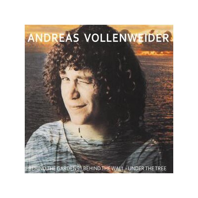 VOLLENWEIDER, ANDREAS - BEHIND THE GARDENS - BEHIND THE WALL - UNDER THE TREE - LP