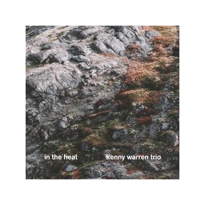 WARREN, KENNY TRIO - IN THE HEAT - CD