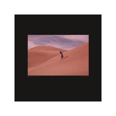 BING & RUTH - I HAD NO DREAM - LP