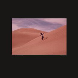 BING & RUTH - I HAD NO DREAM - LP