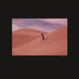 BING & RUTH - I HAD NO DREAM - CD