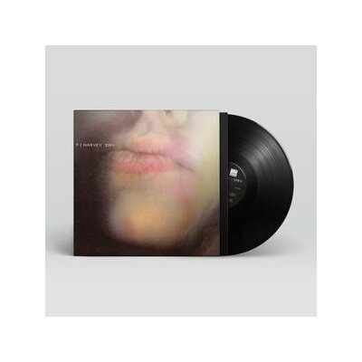 HARVEY, P.J. - DRY - LP