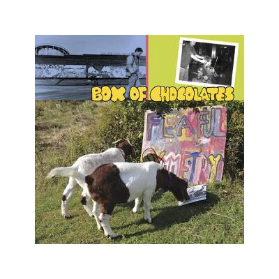 BOX OF CHOCOLATES - FEARFUL SYMMETRY - LP
