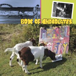 BOX OF CHOCOLATES - FEARFUL SYMMETRY - LP