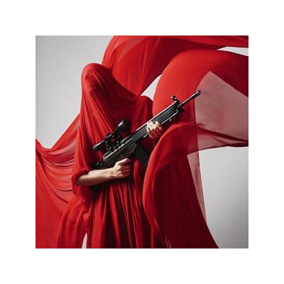 ALL DIESE GEWALT - ANDERE - LP