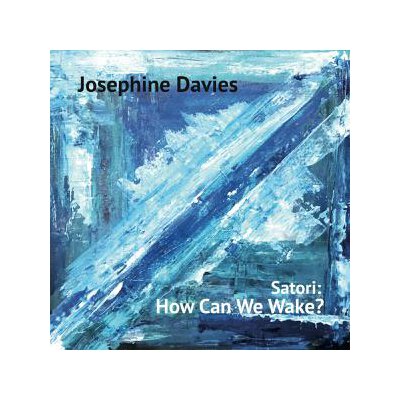 DAVIES, JOSEPHINE - SATORI: HOW CAN WE WAKE? - LPD