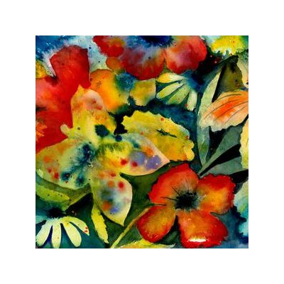 LENKER, ADRIANNE - SONGS & INSTRUMENTALS - CD