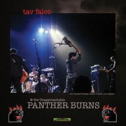 FALCO, TAV & PANTHER BURNS - ADMINISTRATOR BLUES -...