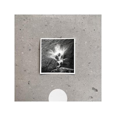 FRAHM, NILS - EMPTY - CD