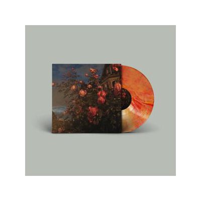 BENCE, JOHN - LOVE (BLOOD ORANGE VINYL) - LPD