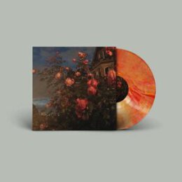 BENCE, JOHN - LOVE (BLOOD ORANGE VINYL) - LPD