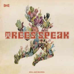 TREES SPEAK - SHADOW FORMS - CD