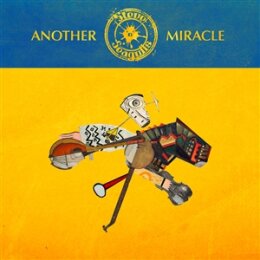 STEVE N SEAGULLS - ANOTHER MIRACLE - LP