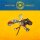 STEVE N SEAGULLS - ANOTHER MIRACLE - LP