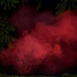 P.A. HÜLSENBECK/MICHAEL SCHÖNHEIT - REAPING...