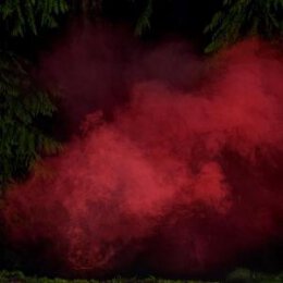 P.A. HÜLSENBECK/MICHAEL SCHÖNHEIT - REAPING...