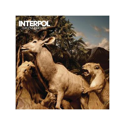 INTERPOL - OUR LOVE TO ADMIRE - CD