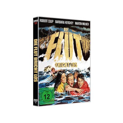 MITCHELL, CAMERON - DIE FLUT BRICHT LOS - DVM