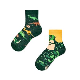 Many Mornings Socks - The Dinosaurs - Kids Socken