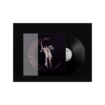 SMERZ - BELIEVER - LP