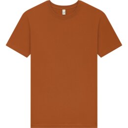 Earth Positive - EP01 - ORGANIC MENS/UNISEX T-SHIRT - Rust M