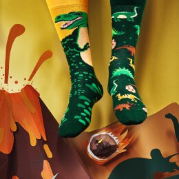 Many Mornings Socks - The Dinosaurs - Socken 35-38