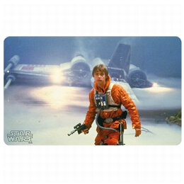 Star Wars - Luke in front of X-Wing  -...