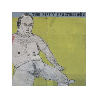 DIRTY PROJECTORS - THE GLAD FACT - CD