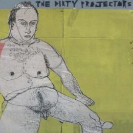 DIRTY PROJECTORS - THE GLAD FACT - CD
