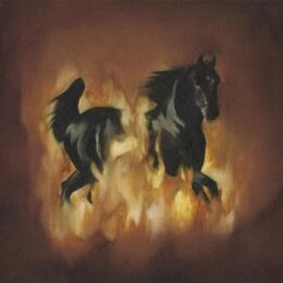 BESNARD LAKES, THE - ARE THE DARK HORSE - CD