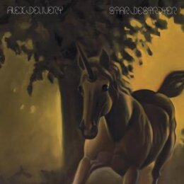 ALEX DELIVERY - STAR DESTROYER - LP