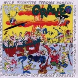 VARIOUS - VOL.5 - BACK FROM THE GRAVE - LP