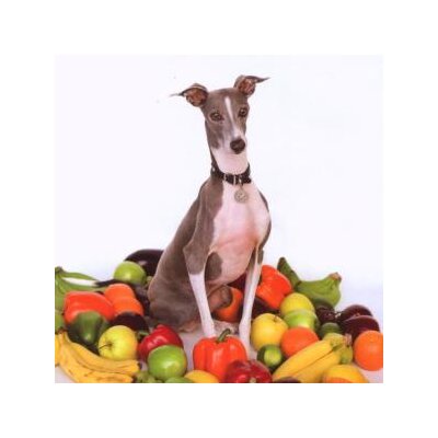 SHELLAC - EXCELLENT ITALIAN GREYHOUND - LP