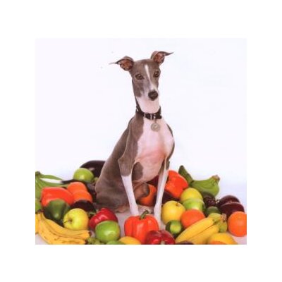 SHELLAC - EXCELLENT ITALIAN GREYHOUND - CD