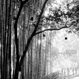 JULIUS, ROLF - MUSIC FOR THE EARS - CD