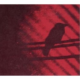 THEE SILVER MT. ZION - BORN INTO TROUBLE AS THE SPARKS.....