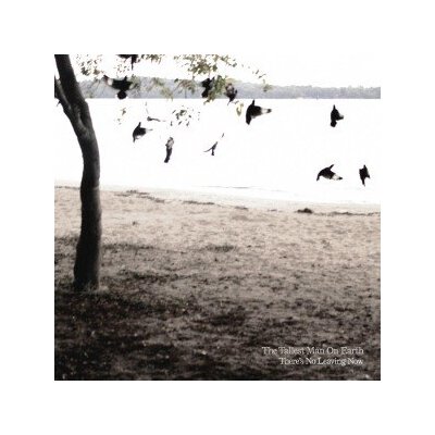 TALLEST MAN ON EARTH, THE - THERES NO LEAVING NOW - LP