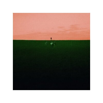 DUST COVERED CARPET - WITNESS ME, PASS OUT - CD