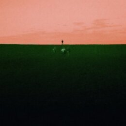 DUST COVERED CARPET - WITNESS ME, PASS OUT - CD