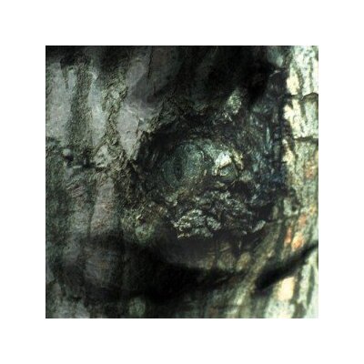 TIERSEN, YANN - LA VALSE DES MONSTRES/ THE WALTZ OF THE MONSTERS - CD