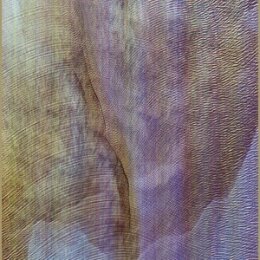 AKRON/FAMILY - SUB VERSES - LP