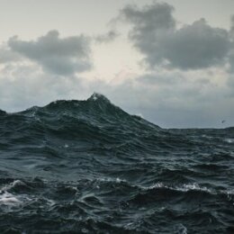 VOLCANO CHOIR - REPAVE - LP