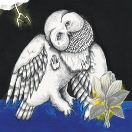 SONGS:OHIA - MAGNOLIA ELECTRIC CO. (10TH ANNIVERSARY...