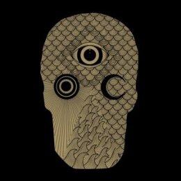 YOUNG WIDOWS - EASY PAIN - LP